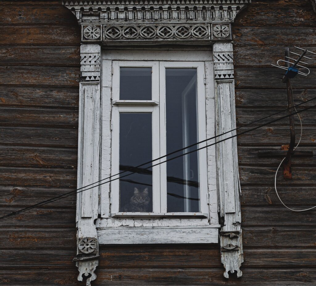 pexels nikolay danilov 10700010