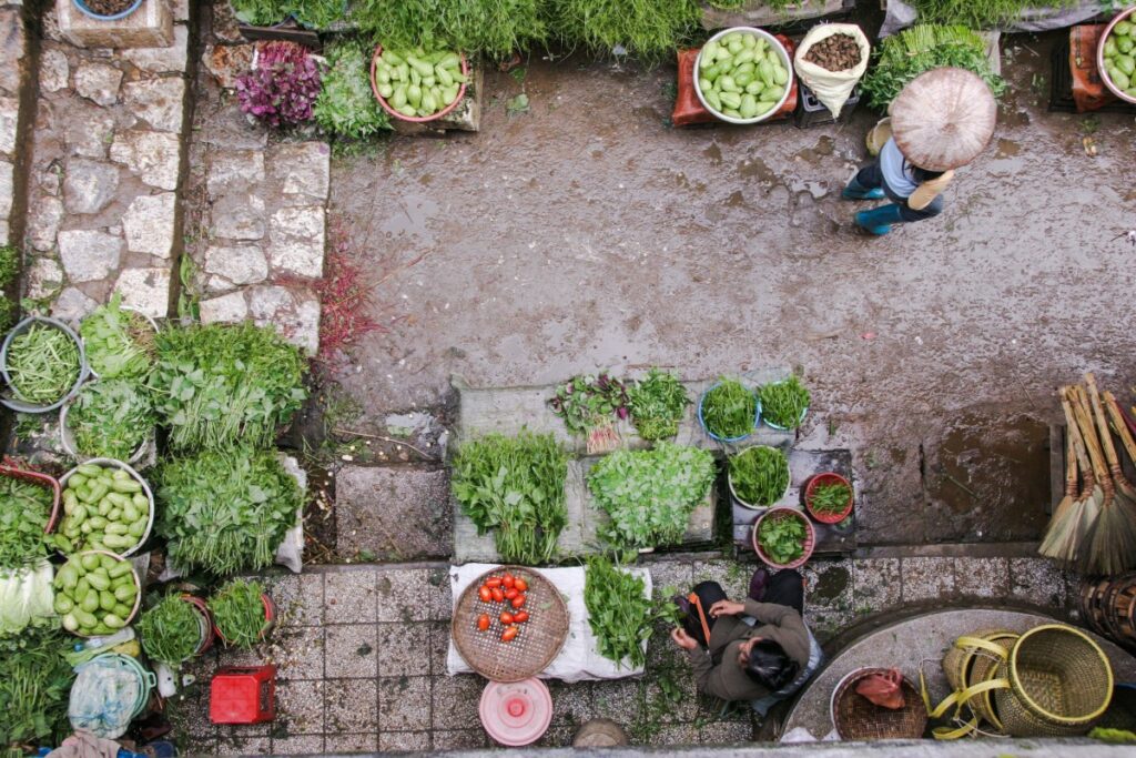 vegetable market pot leaf person 122203