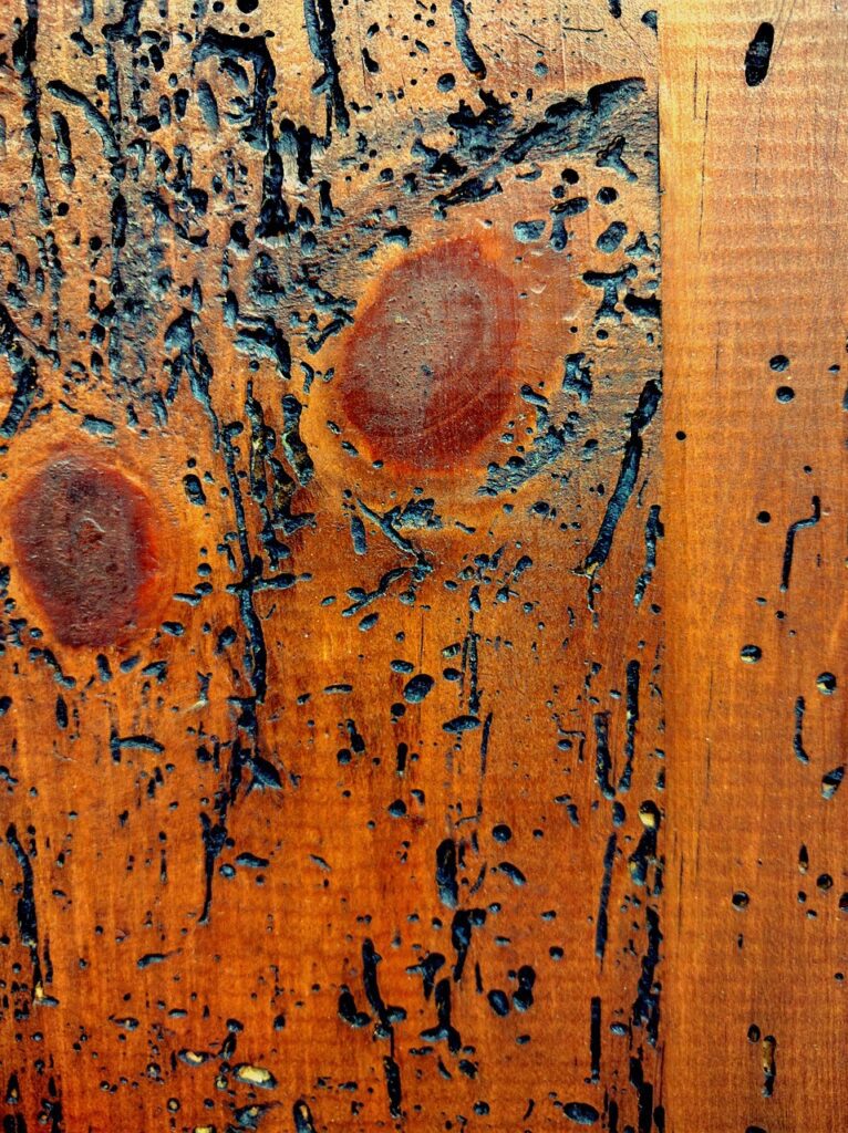 wood 1409941 1280