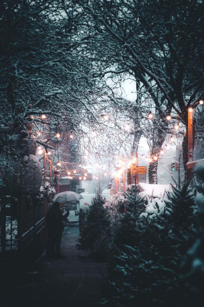andre benz lmgrFP0QBKw unsplash