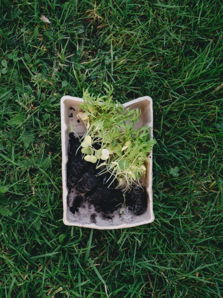 Acabados Biodegradables