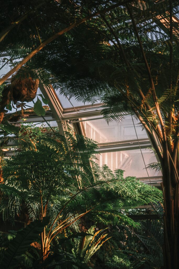 aurelien thomas z0yLeAJg UA unsplash