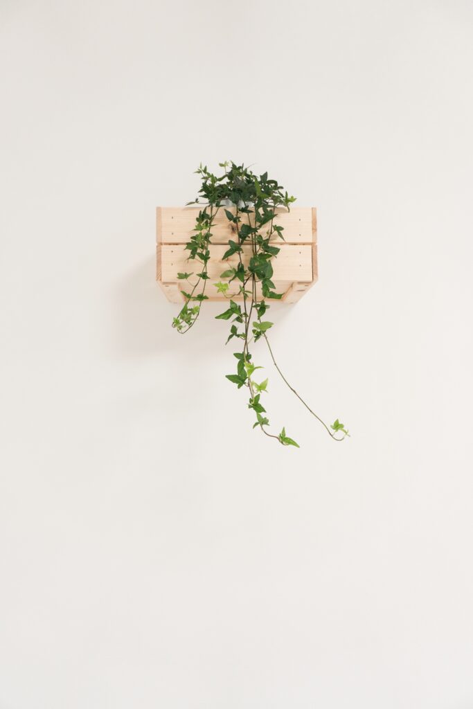 federica galli 4qhiC6RmQw unsplash