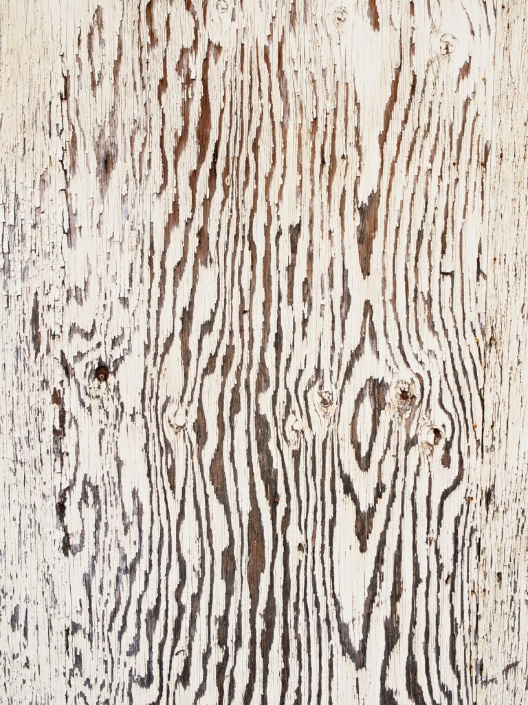 frank luca Yi cW71j6s4 unsplash