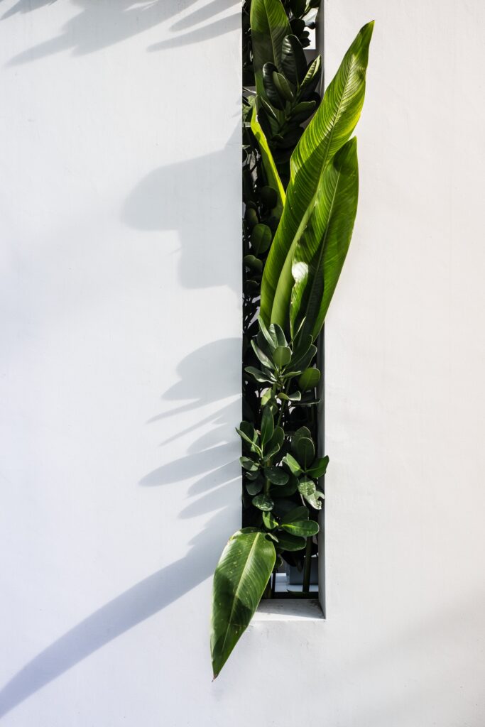 Jardinería Vertical en Interiores: Muros Verdes y Jardines Colgantes