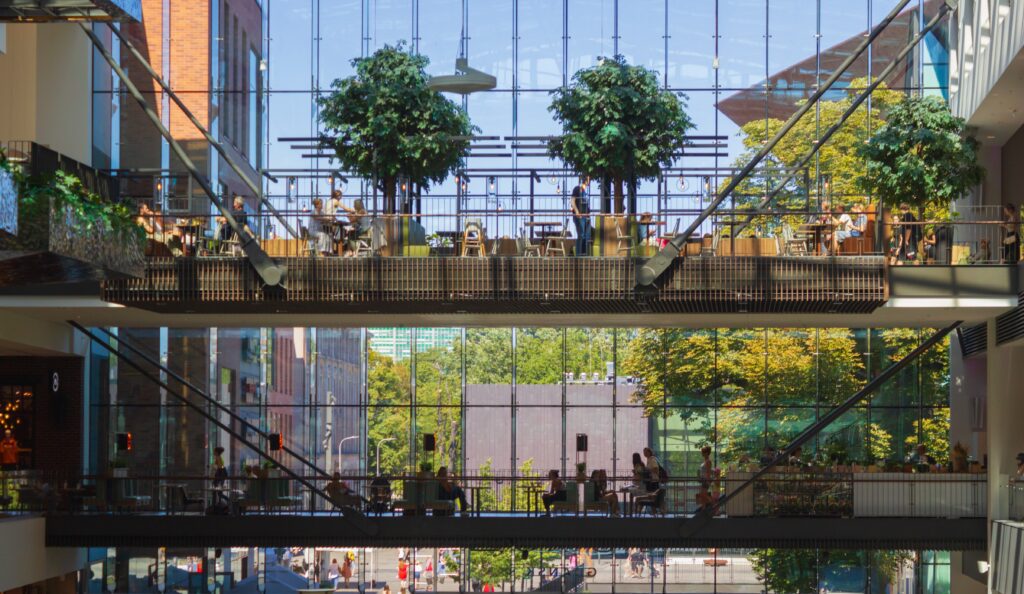 Uso de Plantas en Espacios Comerciales