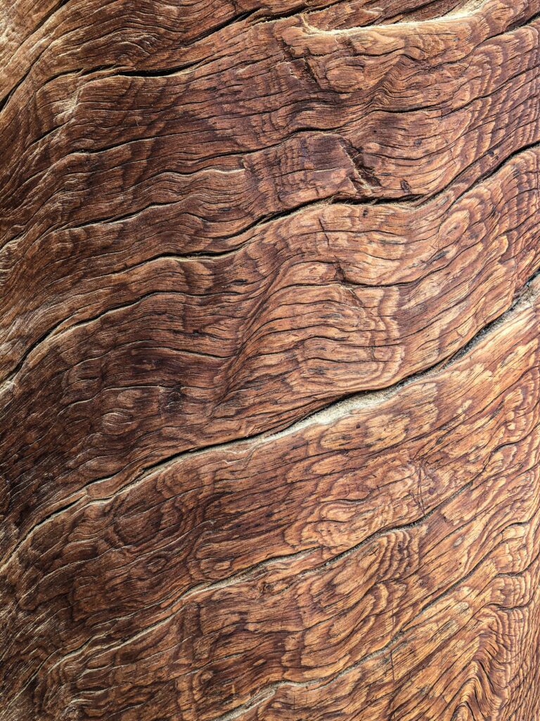 jean wimmerlin dcasj22jmCk unsplash