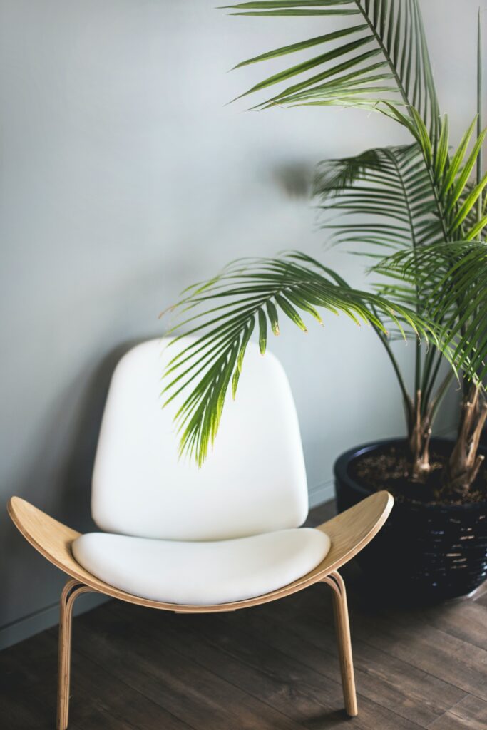 kari shea AMyjxxLEHU4 unsplash 1