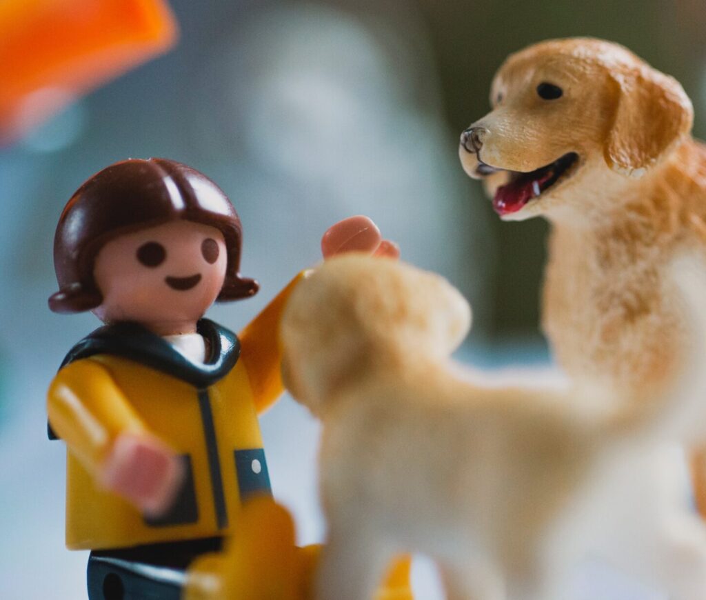 markus spiske KSoCzdGRqE unsplash scaled e1694601310747