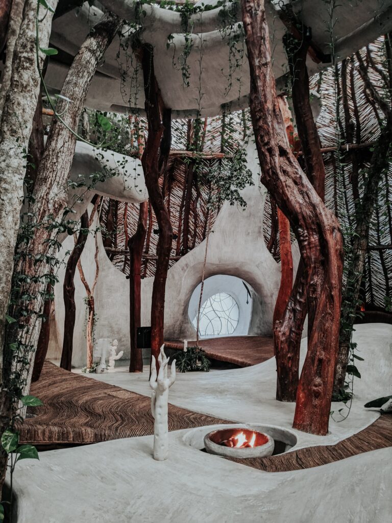 Creación de Oasis de Vegetación en Ambientes Interiores