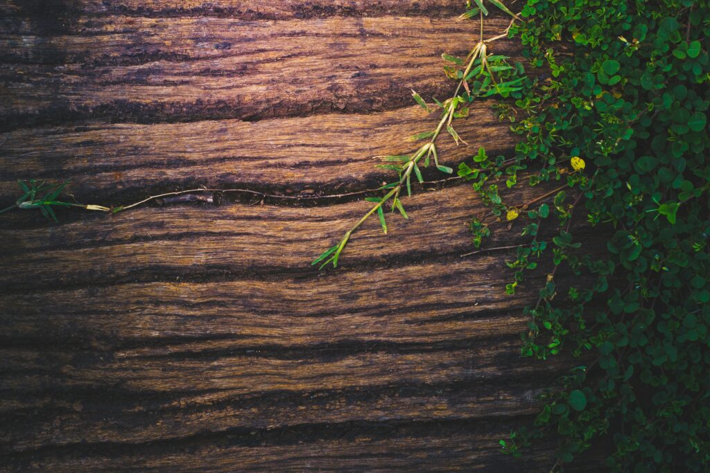 shahadat rahman VoGzDzqjcW0 unsplash