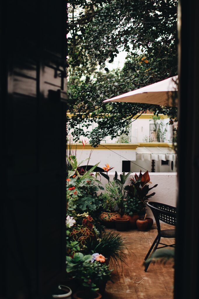 smrithi rao gsEzupqBzdM unsplash