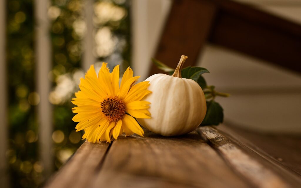 thanksgiving 3811492 1280