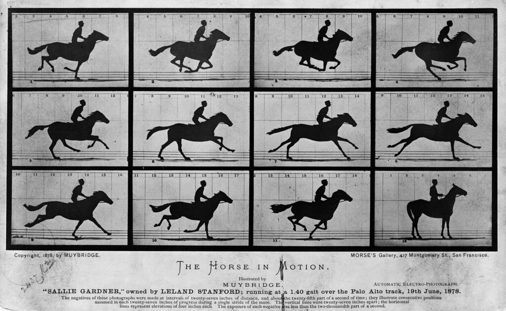The Horse in Motion high res