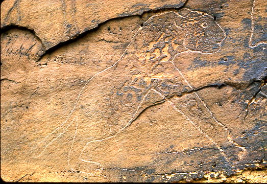 Ain sifissifa.cl .3