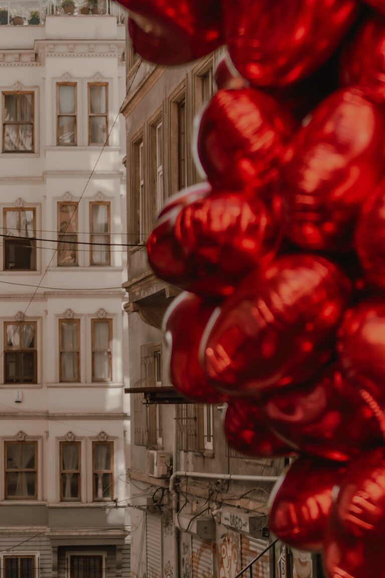 pexels beyzanur k 17980045