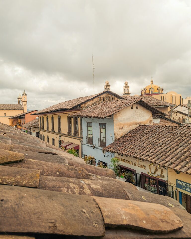 pexels diego rendon 13826918