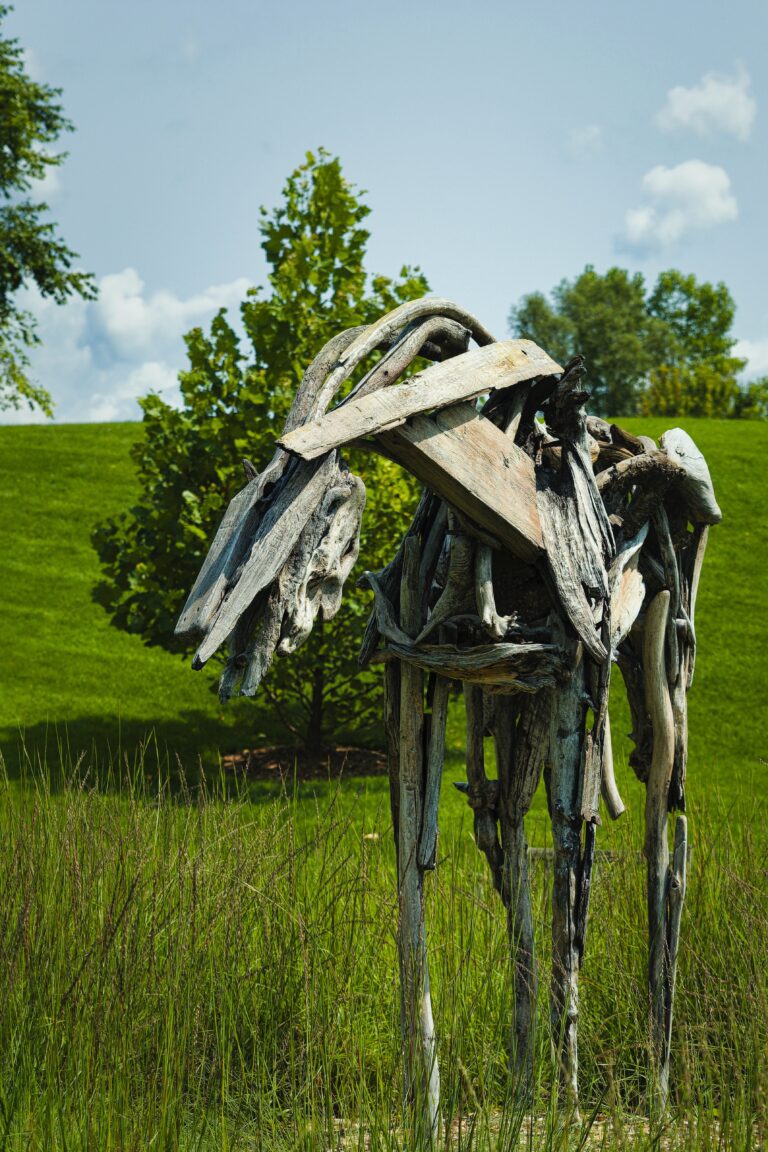 pexels eric prouzet 17894484