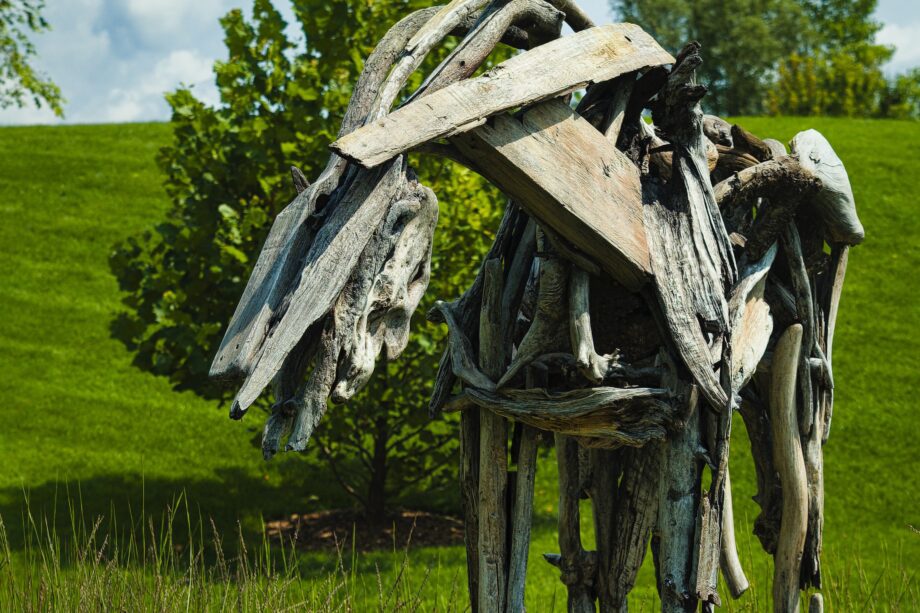 pexels eric prouzet 17894484