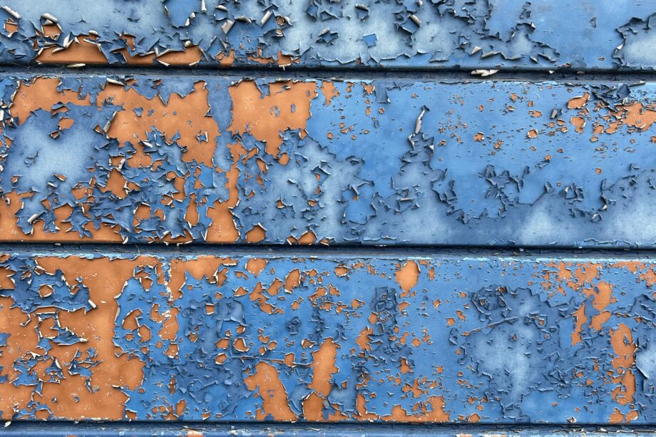 pexels james frid 17640510