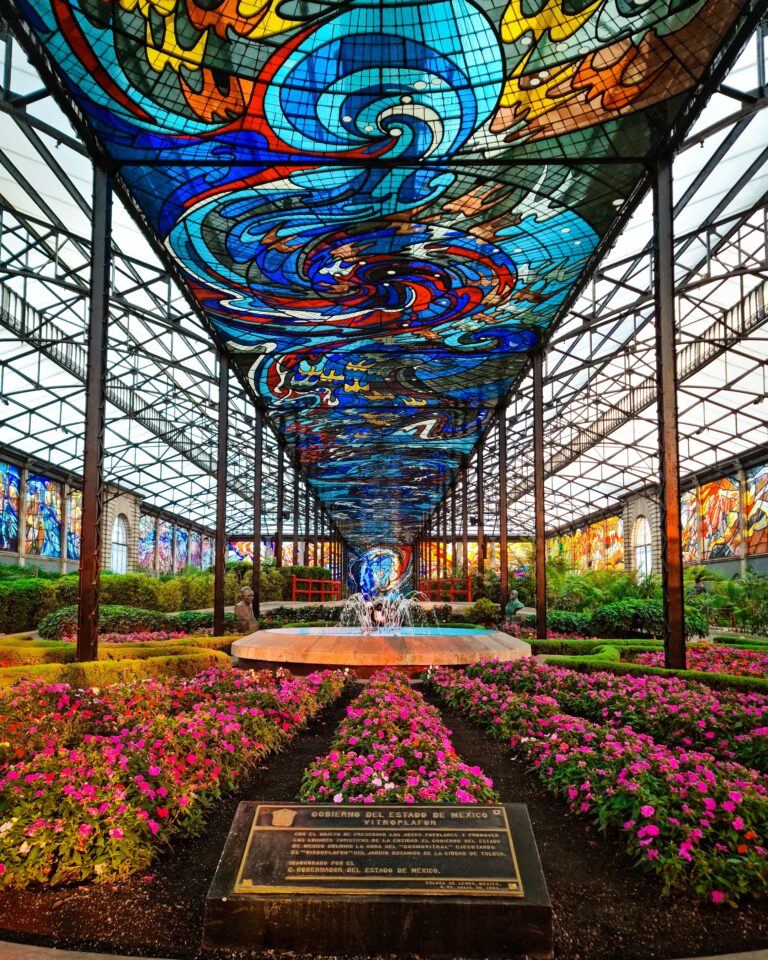 pexels jorge medina 12331697