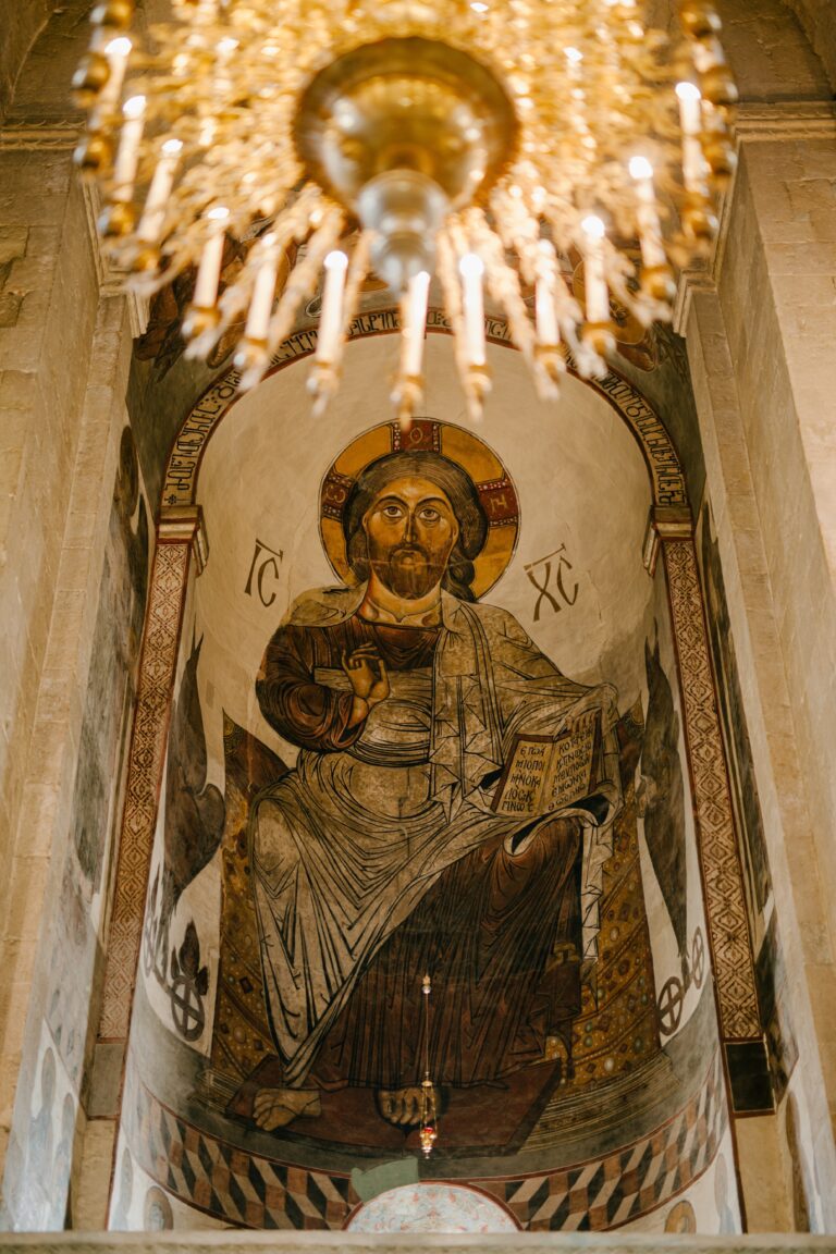 pexels julia volk 5272984