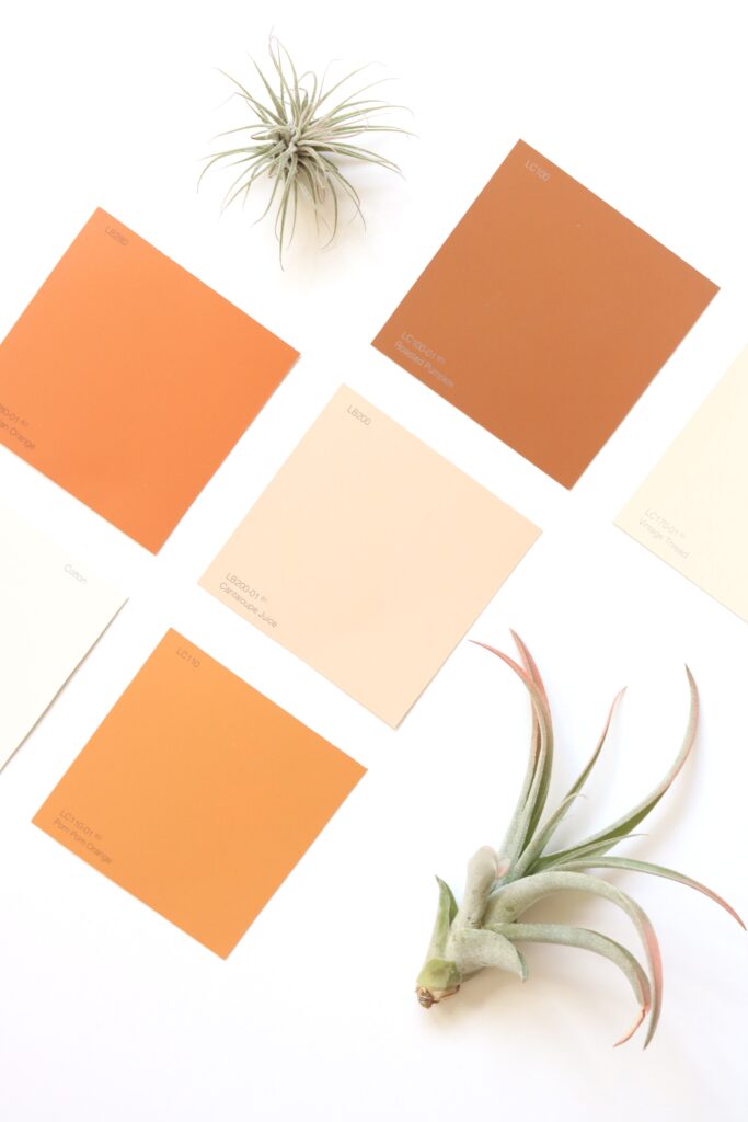 pexels madison inouye 3085495