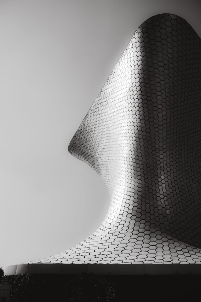 pexels mario alvarado 12002707