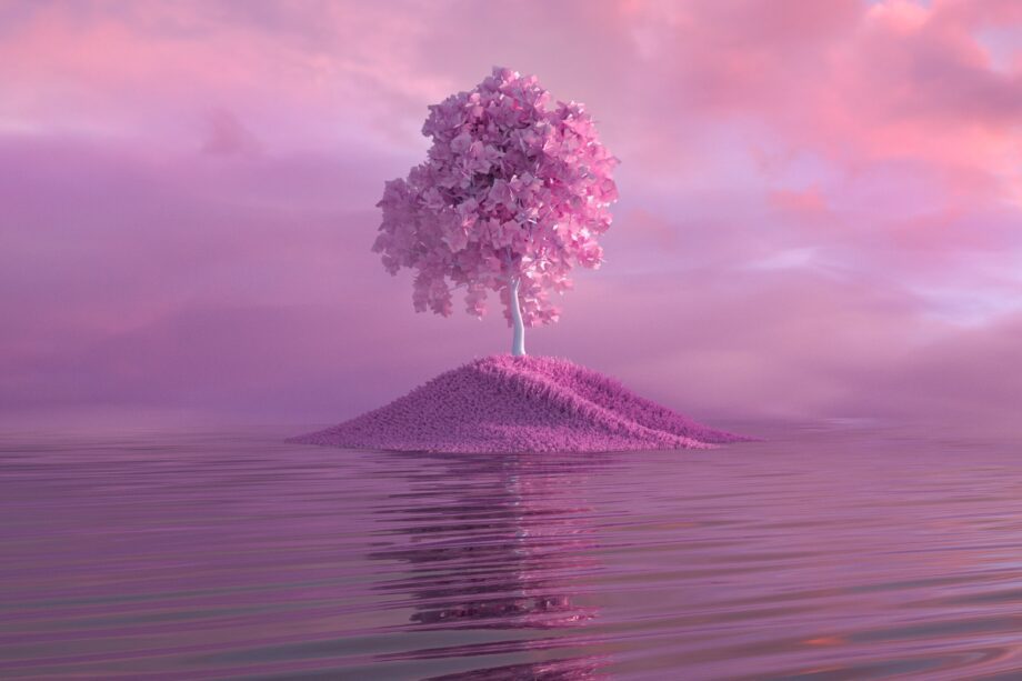 pexels mo eid 9454915