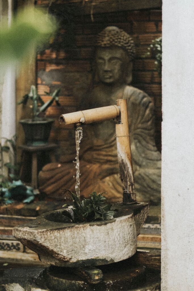 pexels nguyen khanh 2348746