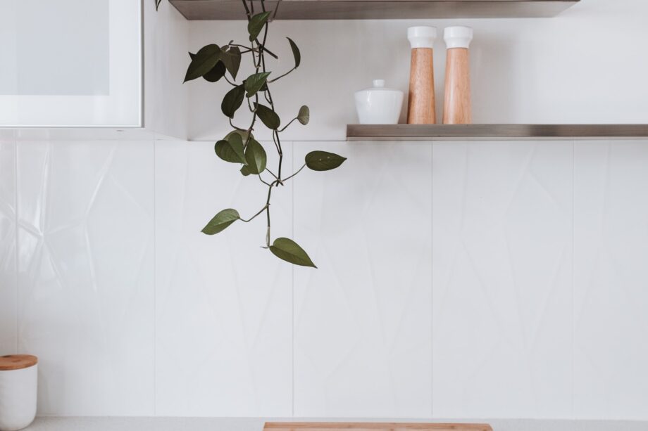 pexels rachel claire 4992465