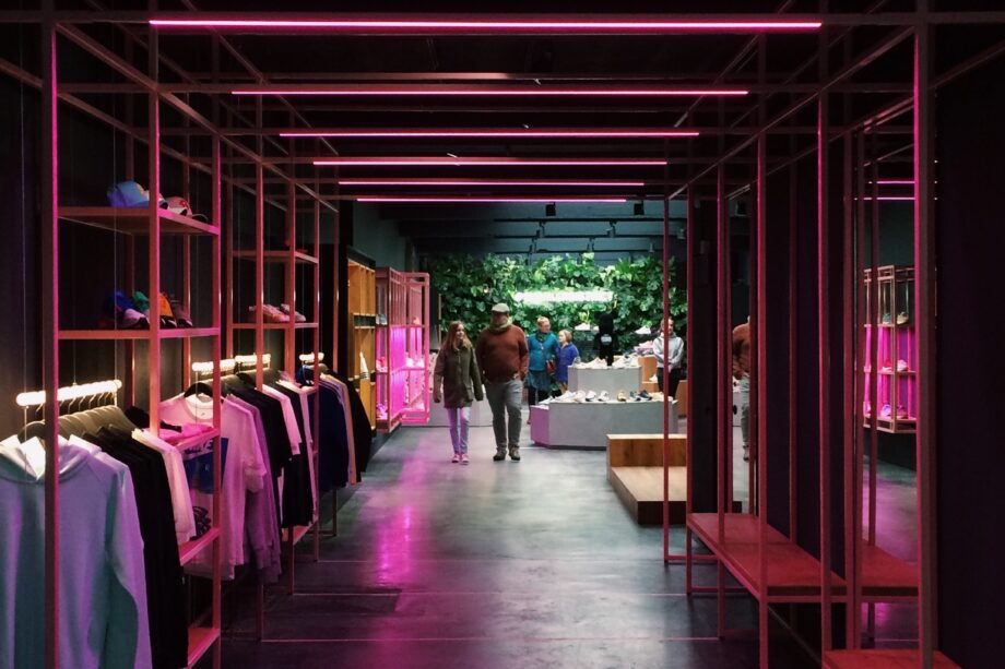 pexels robin 1020370