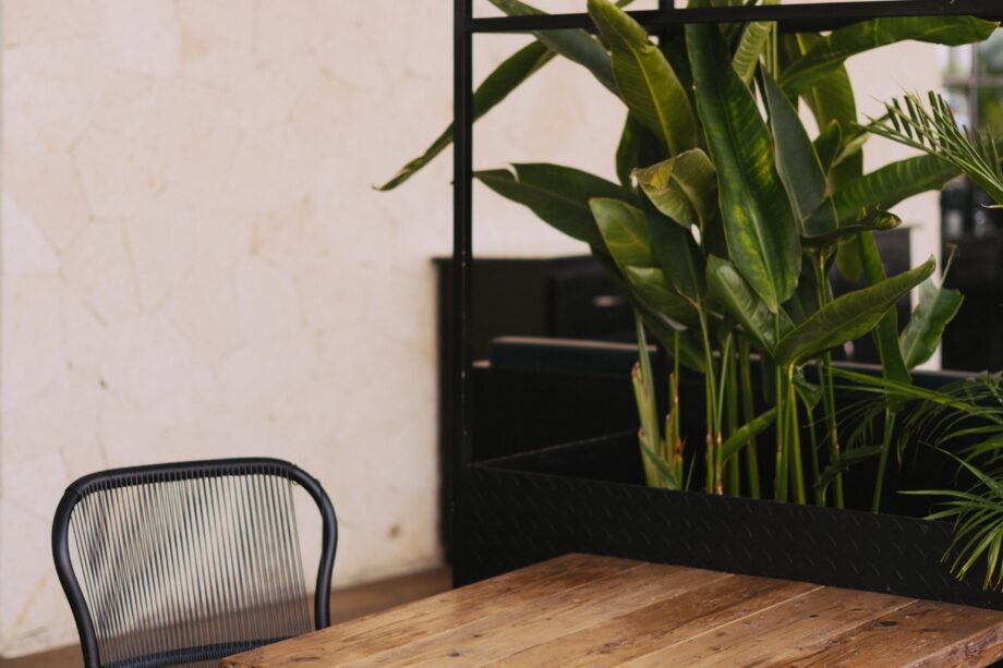 pexels scott webb 2451264