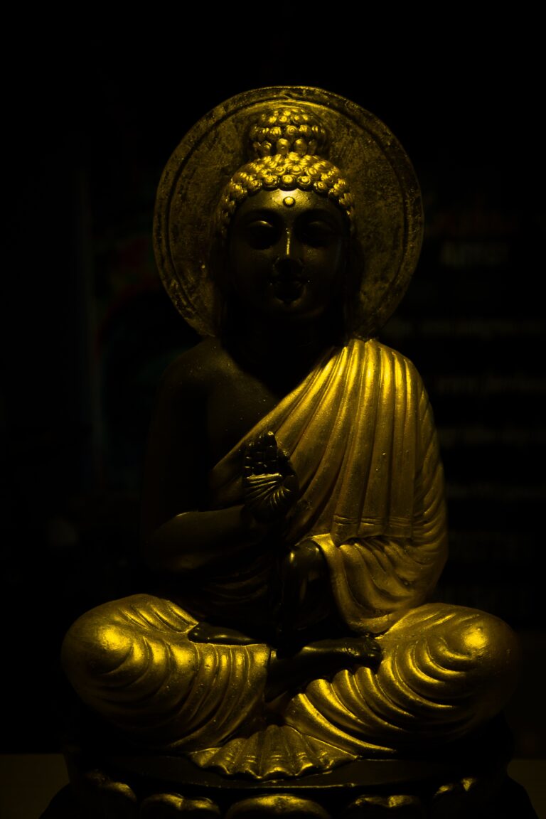 pexels sri bala 11818561