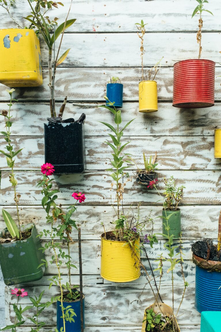 bernard hermant dclPEtMVdK8 unsplash