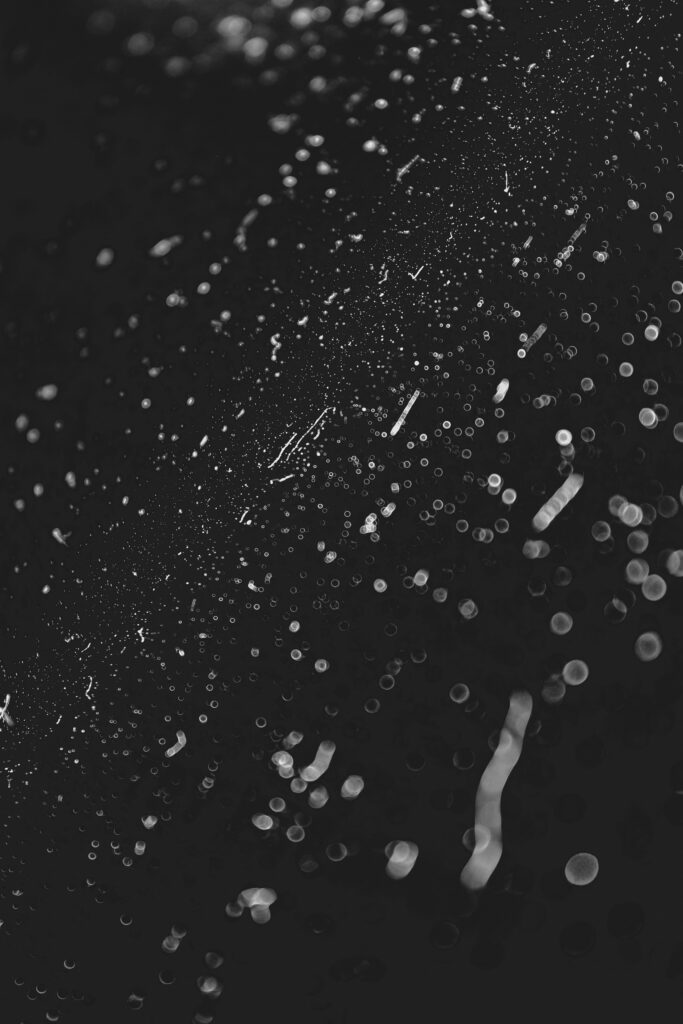 brayan garcia SJbj g7qdHs unsplash