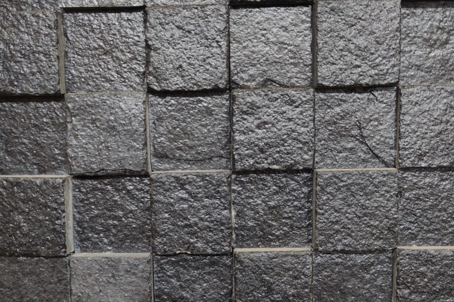 dileep raloti b17xZNtG6lQ unsplash