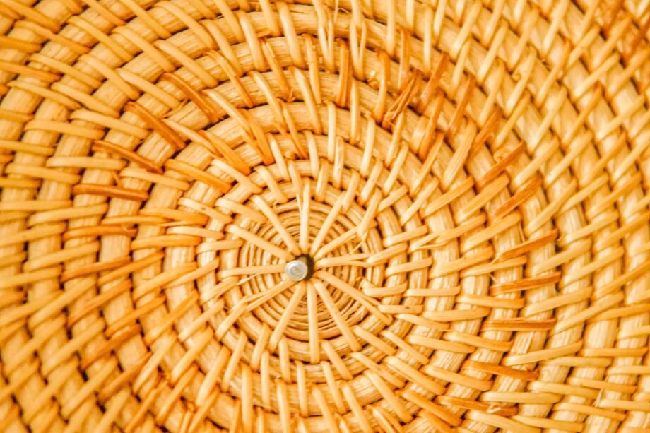 elias rodriguez VKyZL89yJtg unsplash