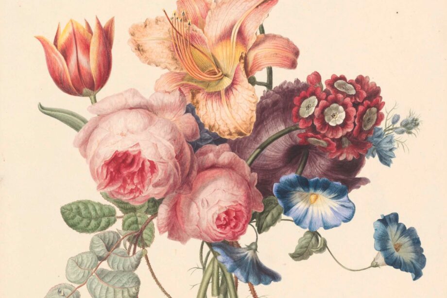 europeana SMWPYQhVRuY unsplash