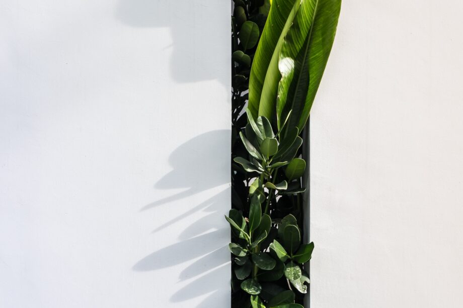 helena yankovska wNxqGDUdjbA unsplash