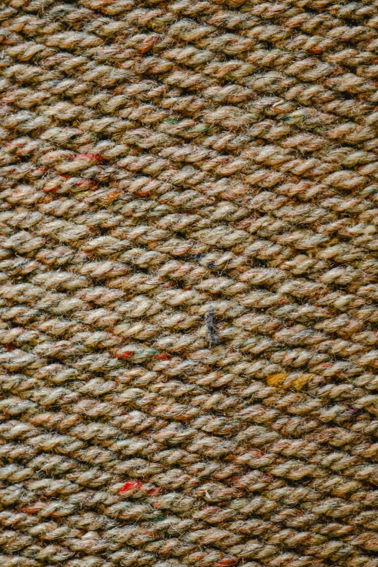 pexels eva bronzini 7605100