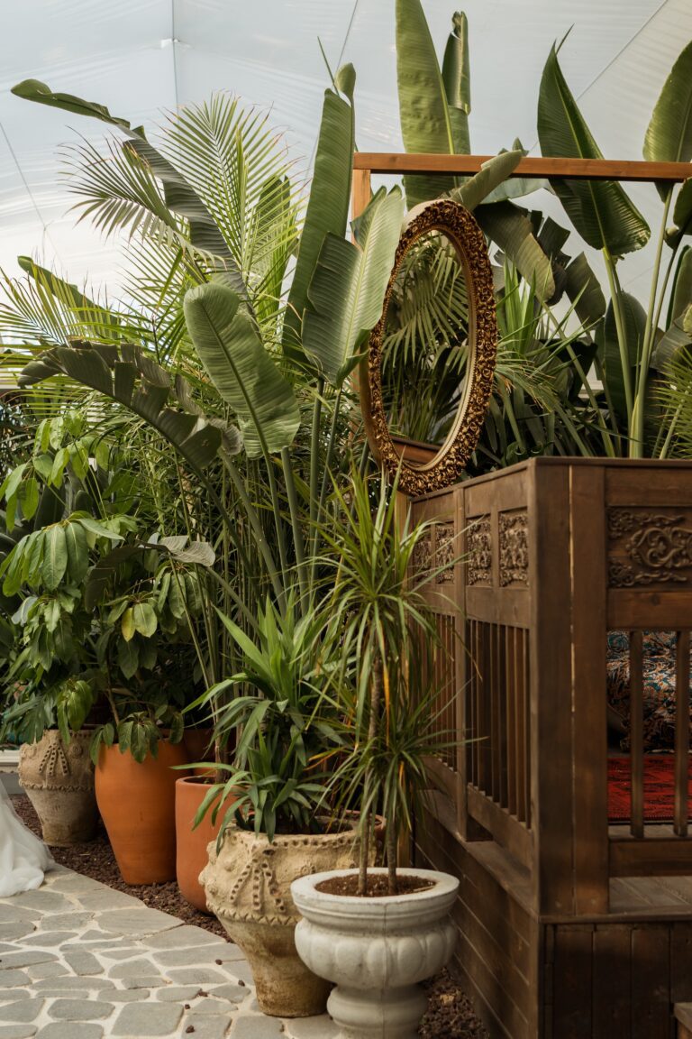 pexels gul isik 17962529 1