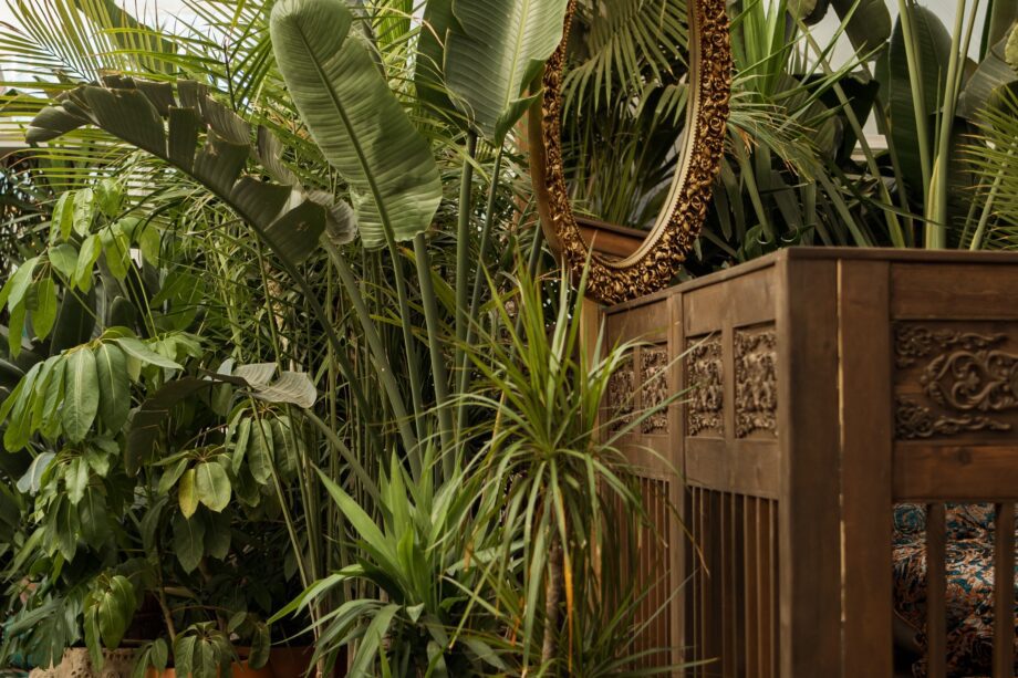 pexels gul isik 17962529 1