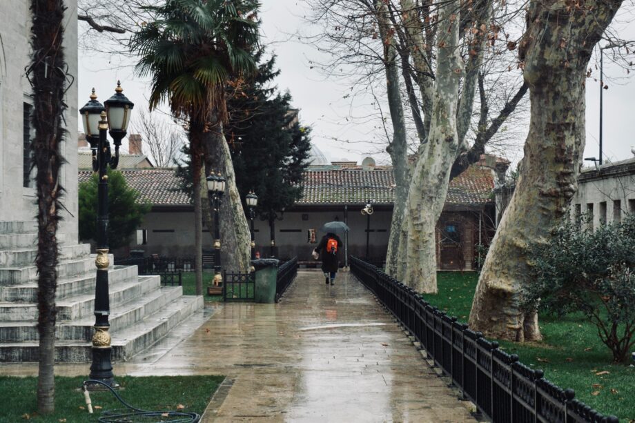 pexels mervan seyda 18042879