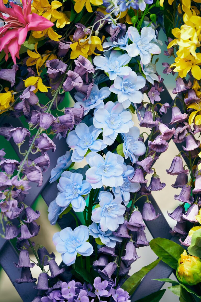 pexels suki lee 17892653